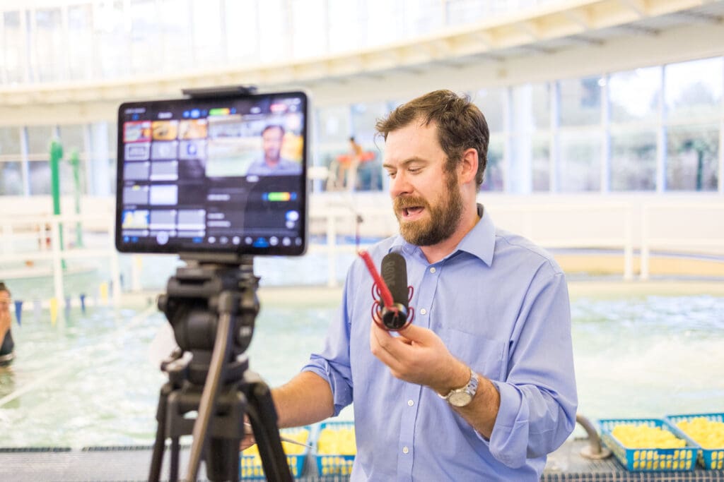 244739577 4631776430221999 5233322699882213609 N